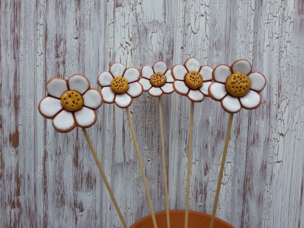 Sedmikráska-zápich