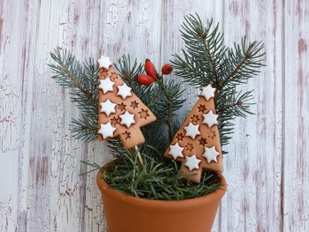 stromecek-hvezdickovy-zapich