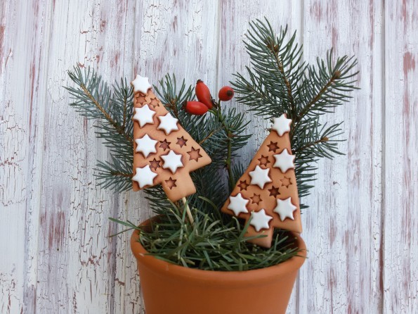 Stromeček hvězdičkový-zápich