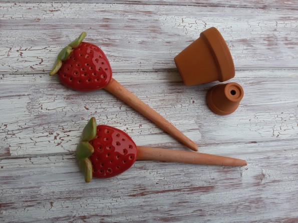 Jahodové kypřítko